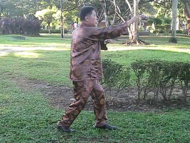 Wu Chuan You Style Taijiquan